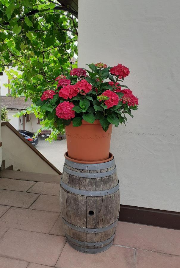 Das Landhotel Weingut Gernert Sankt Martin Exterior photo